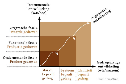 Schema fases binnen een organisatie